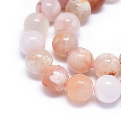 Natural Cherry Blossom Agate Beads Strands G-I249-B01-02-1
