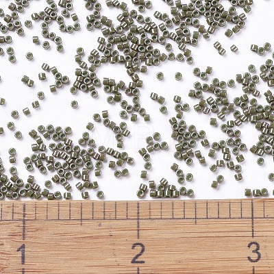 MIYUKI Delica Beads SEED-MY11-DB0657-1