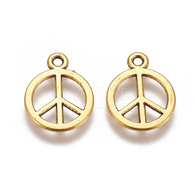 Tibetan Style Alloy Charms GLF11179Y-1