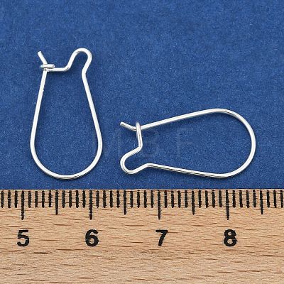 925 Sterling Silver Hoop Earrings STER-S002-55-1