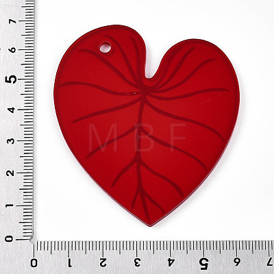 Transparent Printed Acrylic Pendants TACR-T028-34B-1