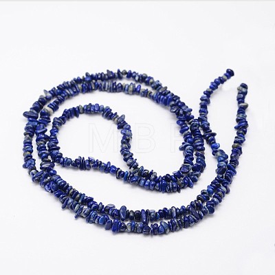 Chips Natural Lapis Lazuli Beads Strands G-N0164-46-1