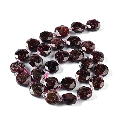 Natural Garnet Beads Strands G-NH0004-046-1