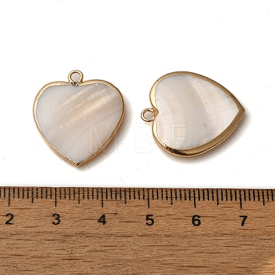 Natural Freshwater Shell Pendants SHEL-M021-14G-1