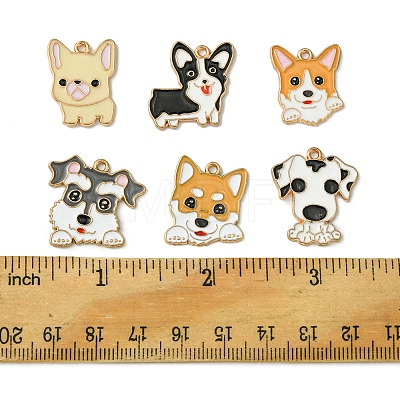 12Pcs 6 Styles Alloy Pendant ENAM-FS0001-81-1