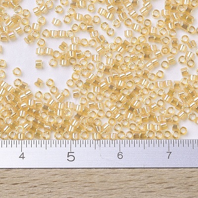 MIYUKI Delica Beads SEED-X0054-DB0100-1