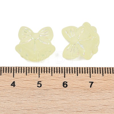 Frosted Transparent Acrylic Beads OACR-P029-18B-03-1