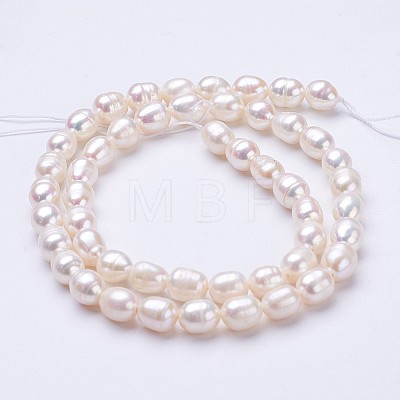Natural Cultured Freshwater Pearl Beads Strands PEAR-P002-24-1