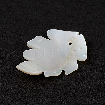 Natural Sea Shell Pendants SSHEL-K001-002-1