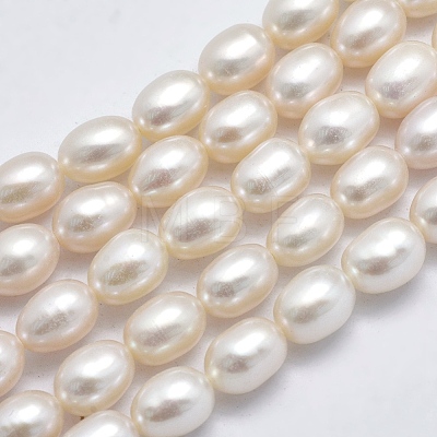 Natural Cultured Freshwater Pearl Beads Strands PEAR-F007-73-1