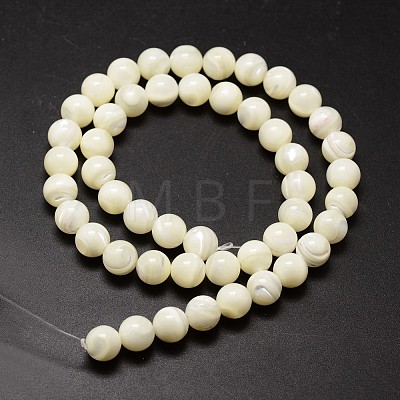 Shell Beads Strands SSHEL-E571-39-8mm-1
