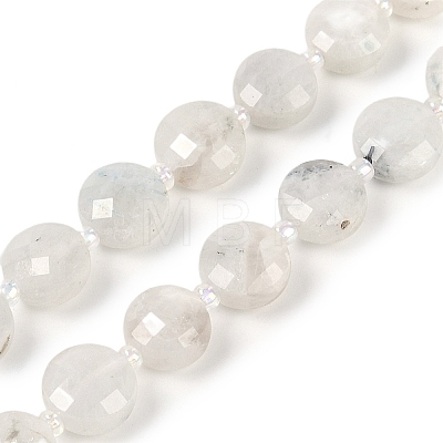 Natural Rainbow Moonstone Beads Strands G-B094-A06-01-1