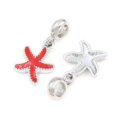 Alloy Enamel European Dangle Charms AL-CBAC2D3-02P-01-1