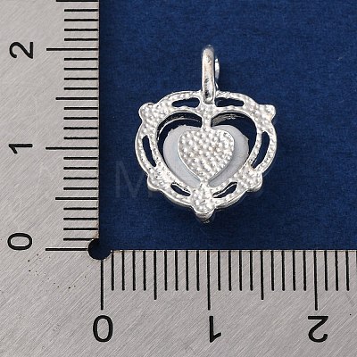 Rack Plating Alloy Resin Pendants FIND-Q116-01S-1