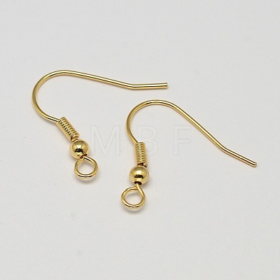 Brass Earring Hooks KK-L137-03G-NR-1