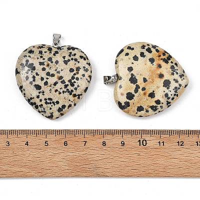 Natural Dalmatian Jasper Pendants GG-K002-12A-04-1