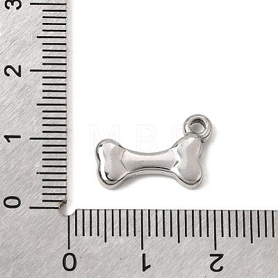 304 Stainless Steel Pendants SA-CBA9B1E-11P-1