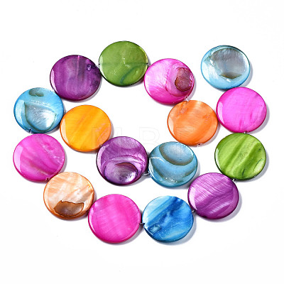 Natural Freshwater Shell Beads Strands SHEL-Q024-005-1