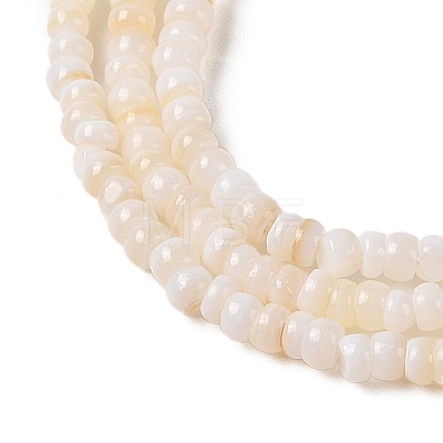 Natural Freshwater Shell Beads Strands X-SHEL-P017-01B-02-1