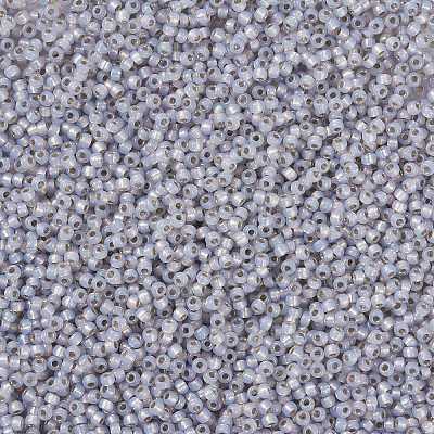 MIYUKI Round Rocailles Beads X-SEED-G008-RR0576-1
