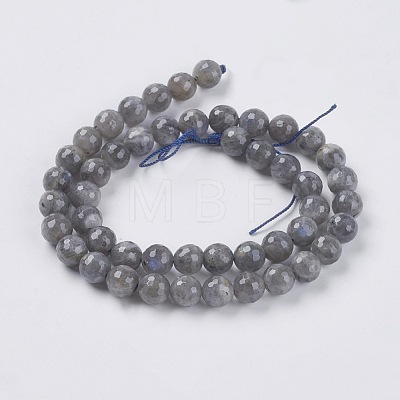 Natural Labradorite Beads Strands G-G213-4mm-03-1