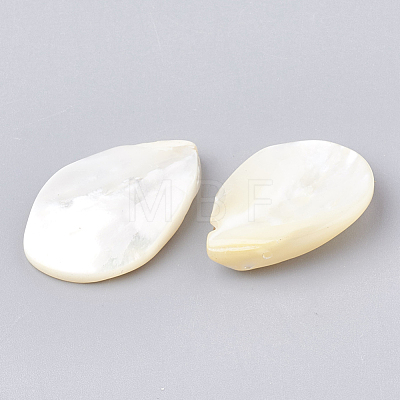 Natural White Shell Beads SHEL-T005-03-1