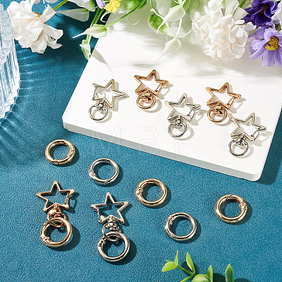 10Pcs 2 Colors Star Alloy Swivel Snap Hook Clasps & 10Pcs 2 Colors Alloy Spring Gate Rings Findings Kits FIND-TADJ0001-24-1
