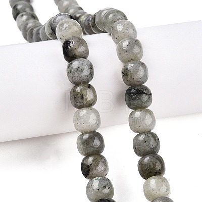 Natural Labradorite Beads Strands G-T138-143-1