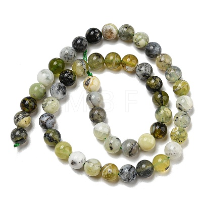 Natural Green Opal Beads Strands G-R494-A11-03-1