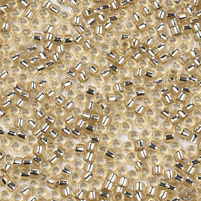 Glass Seed Beads X1-SEED-S042-04A-05-1
