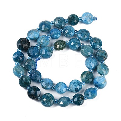 Natural Apatite Beads Strands G-B094-A26-01-1