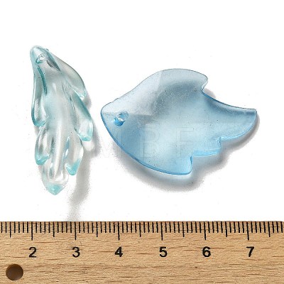 Transparent Frosted Acrylic Beads OACR-H039-06-1