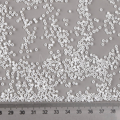 Glass Seed Beads SEED-A011-2mm-141-1