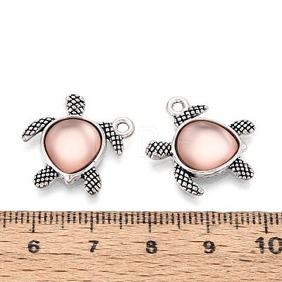 Tibetan Style Alloy Pendants FIND-WH0050-01A-1