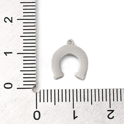 304 Stainless Steel Charms STAS-K263-05P-03-1