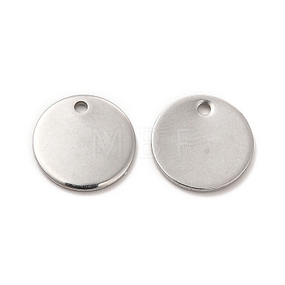 Non-Tarnish 304 Stainless Steel Charms STAS-L207-24D-P-1