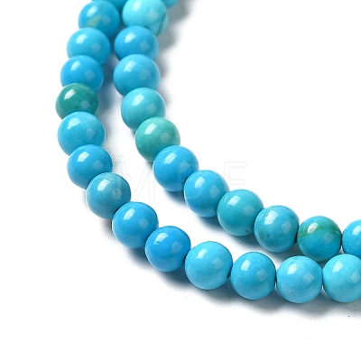 Dyed Natural Magnesite Beads Strands G-Q181-B01-01-1