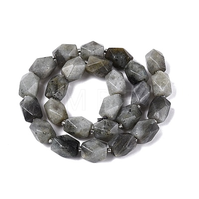 Natural Labradorite Beads Strands G-Q608-11E-1
