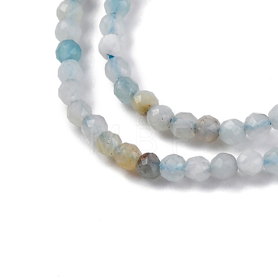 Natural Amazonite Beads Strands G-E351-10A-01-1