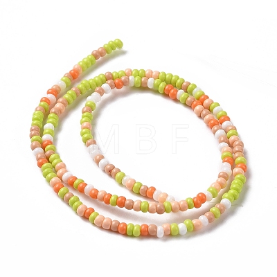 Glass Seed Bead Strands LAMP-B021-04A-1