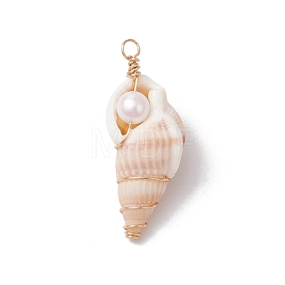 3Pcs Natural Shell Pendants PALLOY-JF03226-03-1