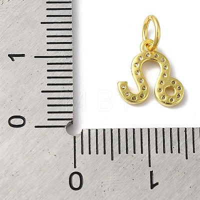 925 Sterling Silver Charms STER-M120-03E-G-1