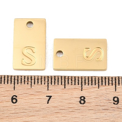 304 Stainless Steel Pendants SA-CBA1839-21G-S-1