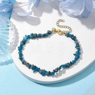 Natural Apatite Anklets AJEW-AN00592-01-1