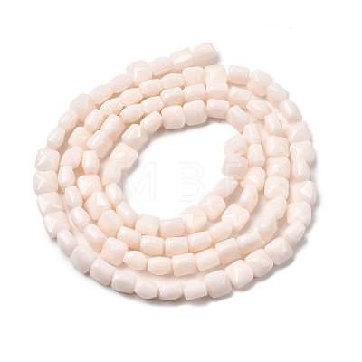 Opaque Glass Beads Strands LS-GLAA-L050-C20-1