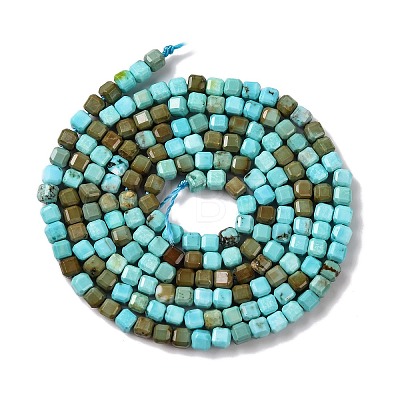 Natural Howlite Beads Strands G-G001-A02-06-1