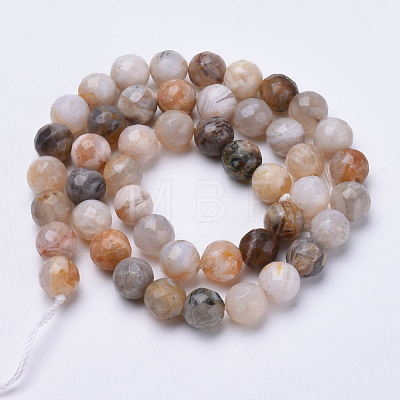 Natural Bamboo Leaf Agate Beads Strands G-S281-20-8mm-1