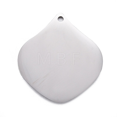 304 Stainless Steel Pendants STAS-F254-11A-P-1