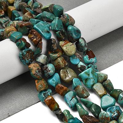 Natural HuBei Turquoise Beads Strands X-G-P497-01E-19-1