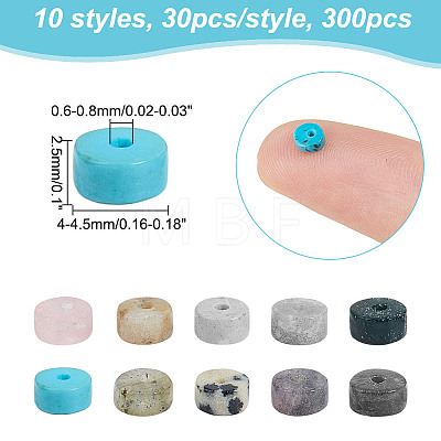  300pcs 10 Styles Natural Mixed Gemstone Beads G-NB0005-30-1